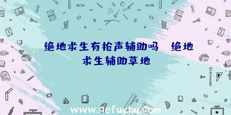 「绝地求生有枪声辅助吗」|绝地求生辅助草地